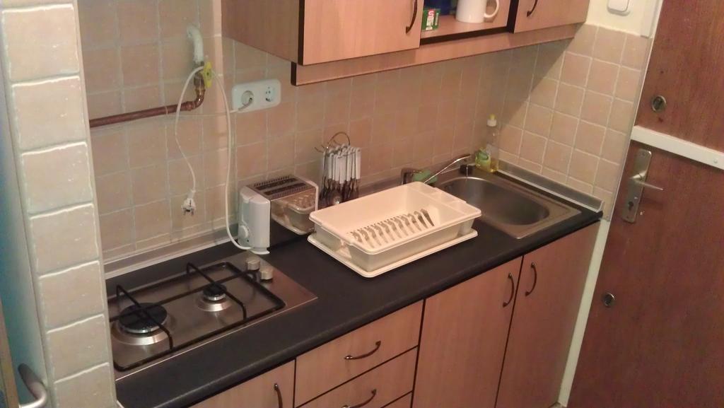 Budapest Flat Rent Rum bild