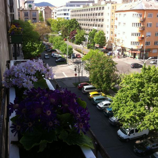 Budapest Flat Rent Rum bild